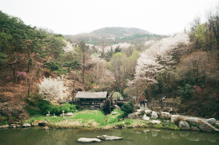 Fuji Industrial 100 (просрочка)