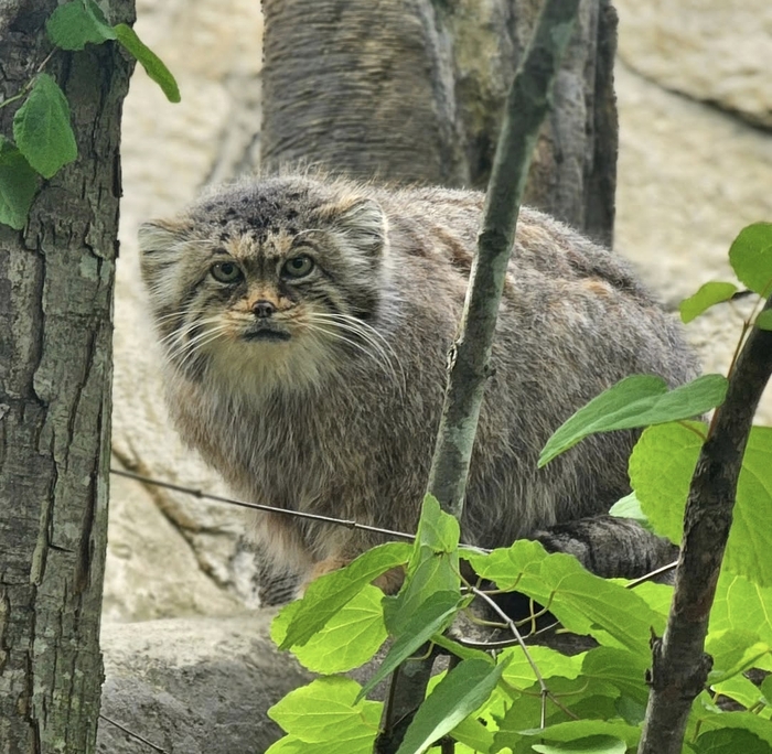 Что снимаешь? Обед тащи!