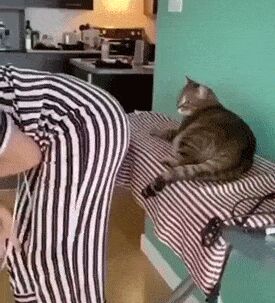 Кусь