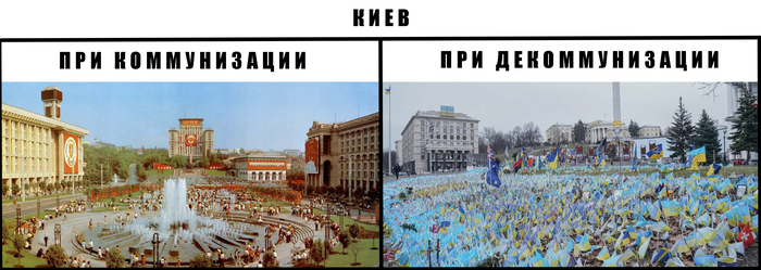     ))