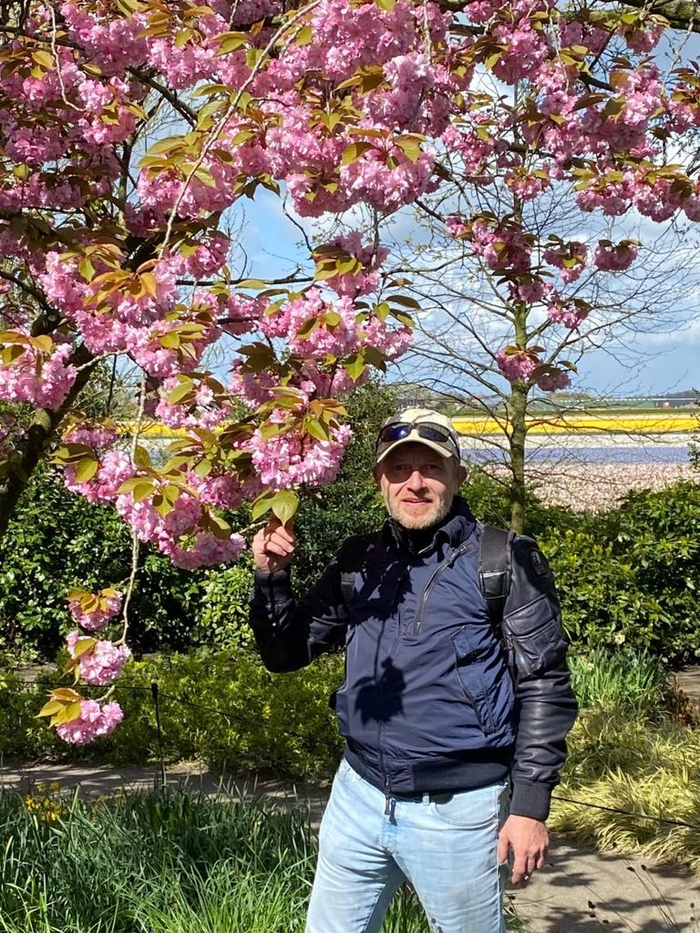 -    " ",   ,      .