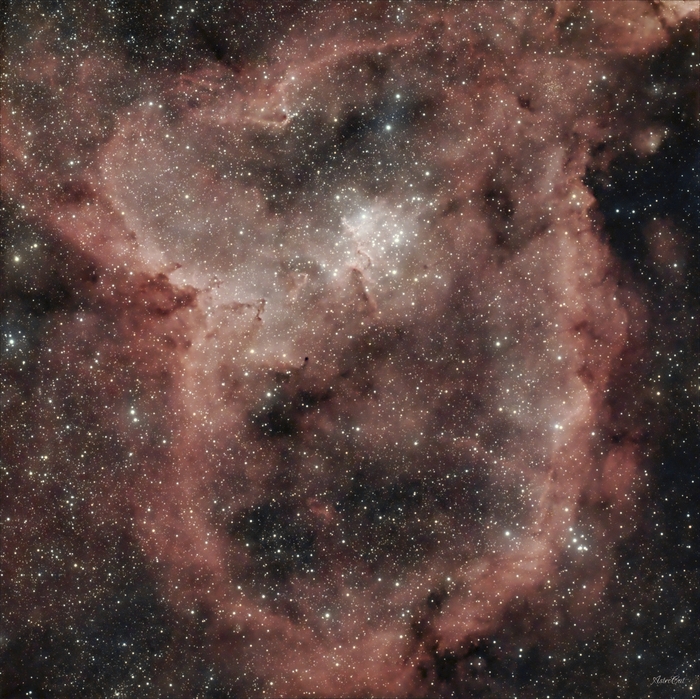  IC1805 "" ,  , , ,  