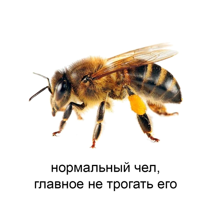     , , , 