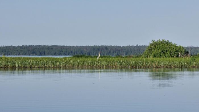     ,        , , . - ,    .      