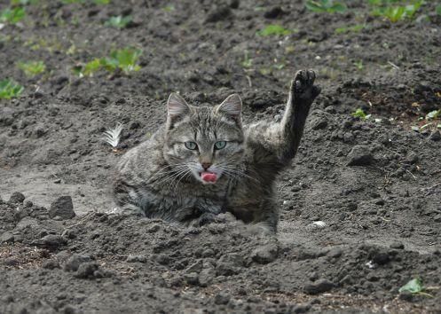 ��������� ����� ������� ������