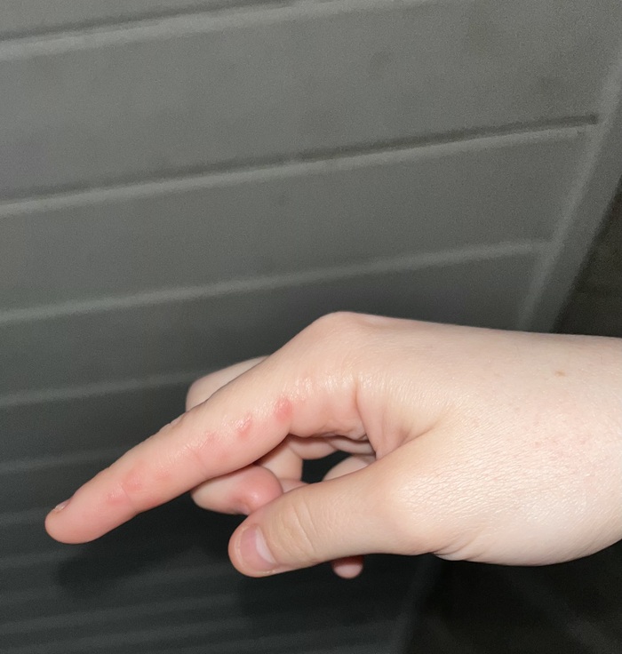      ,  