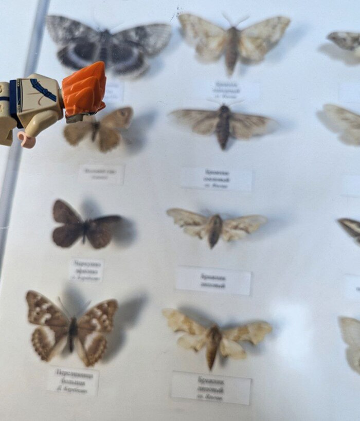 В одном из музеев