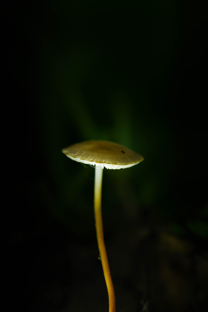  (+ ) , , , , , , , 