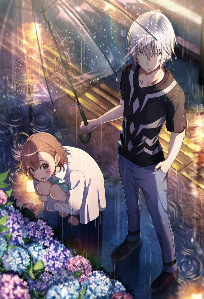    Anime Art, , Accelerator, Last Order, Pixiv
