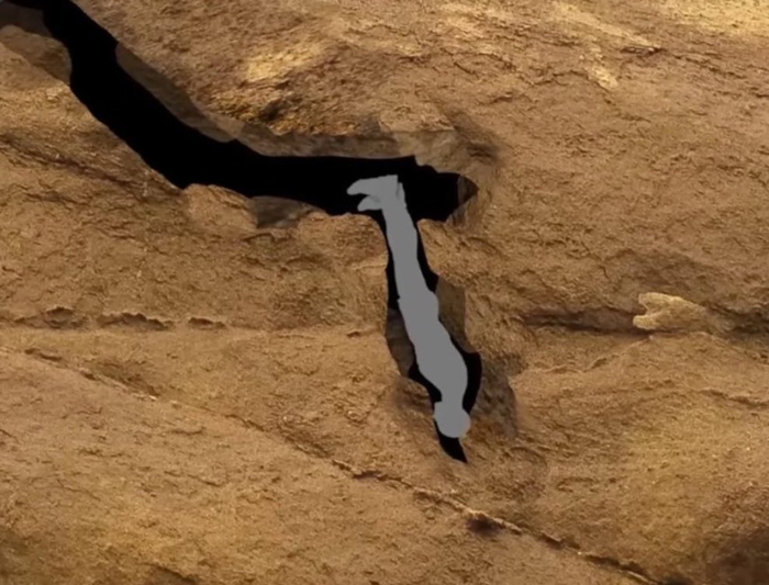     ,     ,     