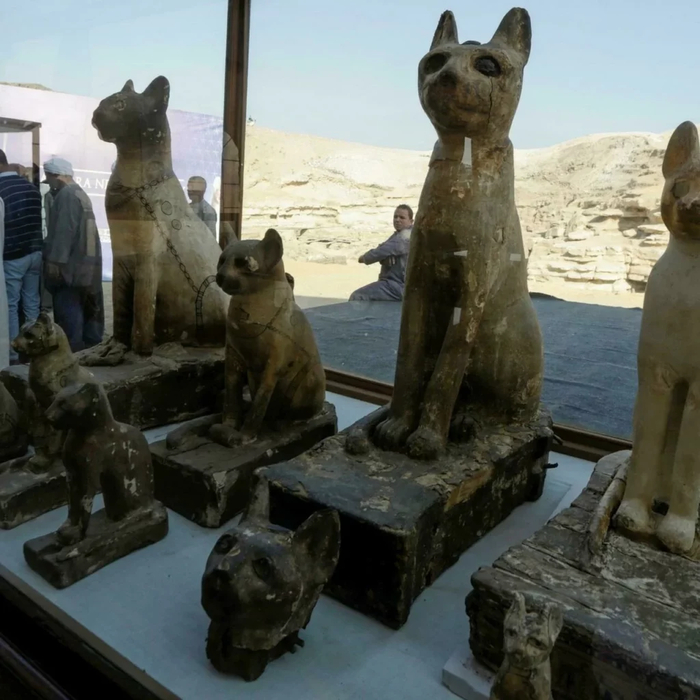 Статуэтки кошек, найденных при раскопках Бубастиса