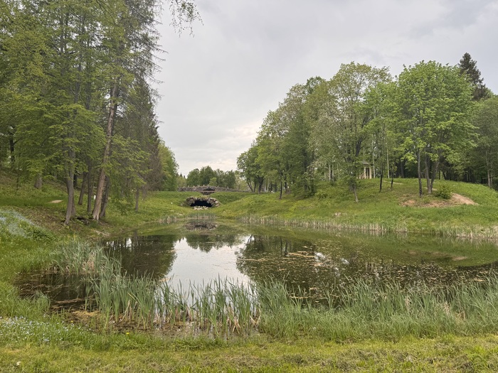      2 .   3.       .  ,      . 