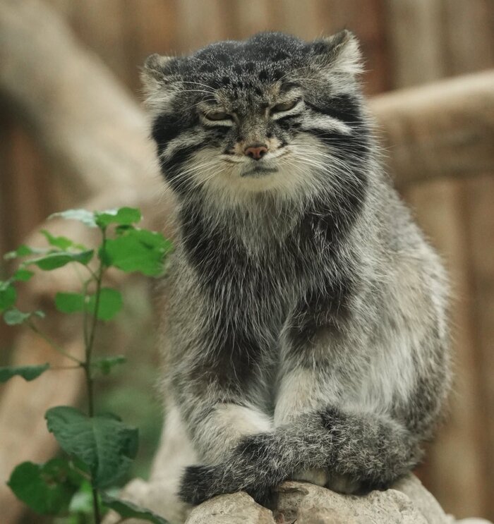 Надо попробовать ложиться не в два часа ночи...