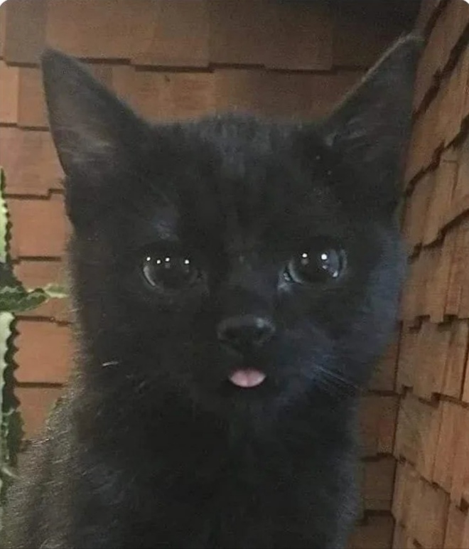   , , 