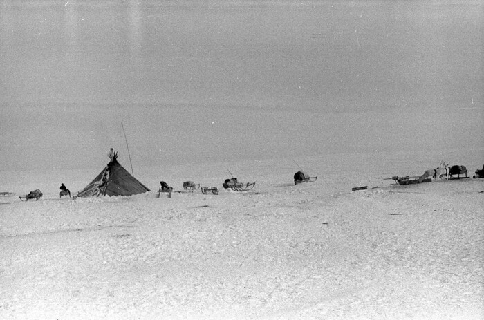 Стойбище. С нами оленеводы практически не общались, предпочитая жить тихо и незаметно.