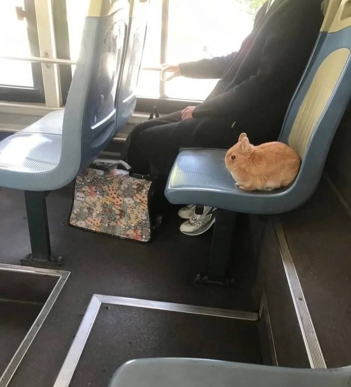  , , 