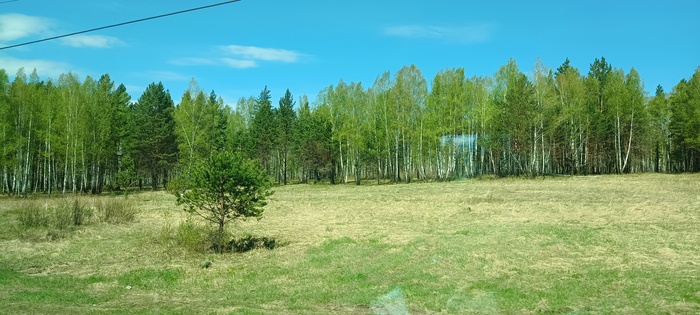 Лапша с прекрасным бульоном и сибирские пейзажи заиграли яркими красками