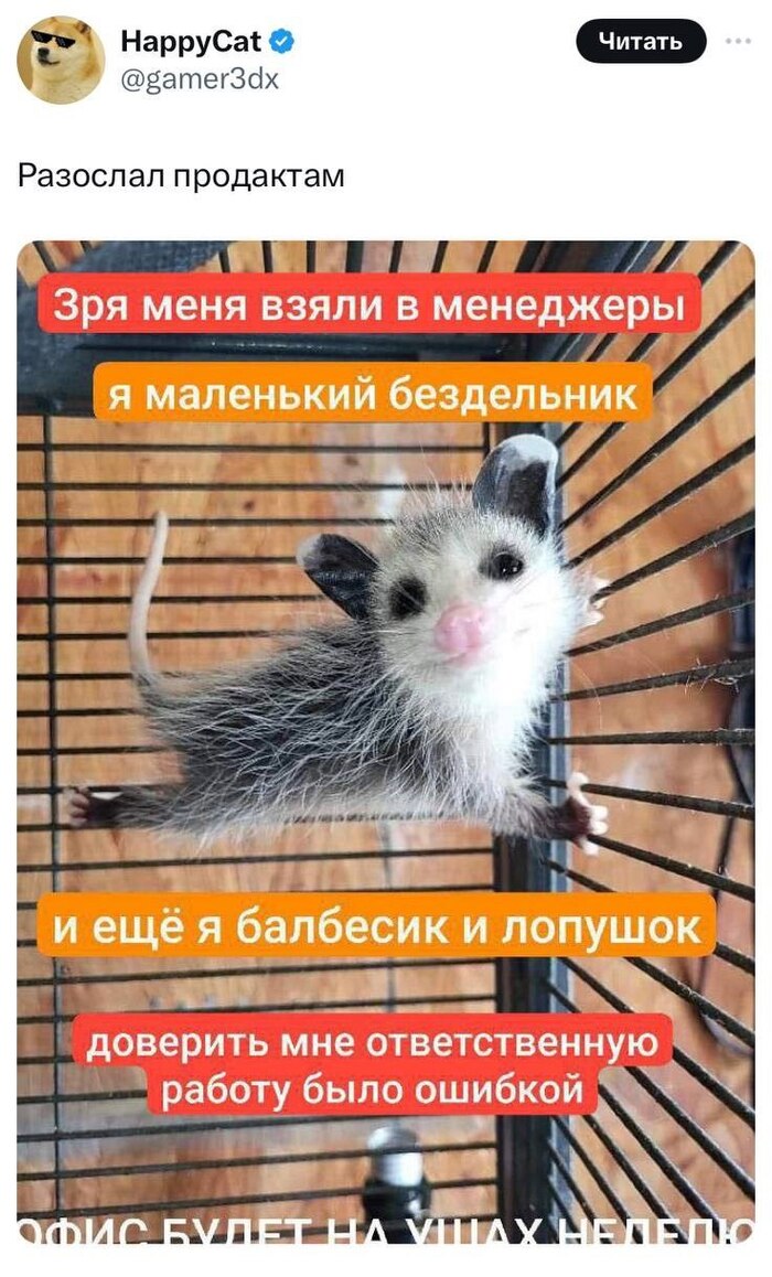     , ,  , , 