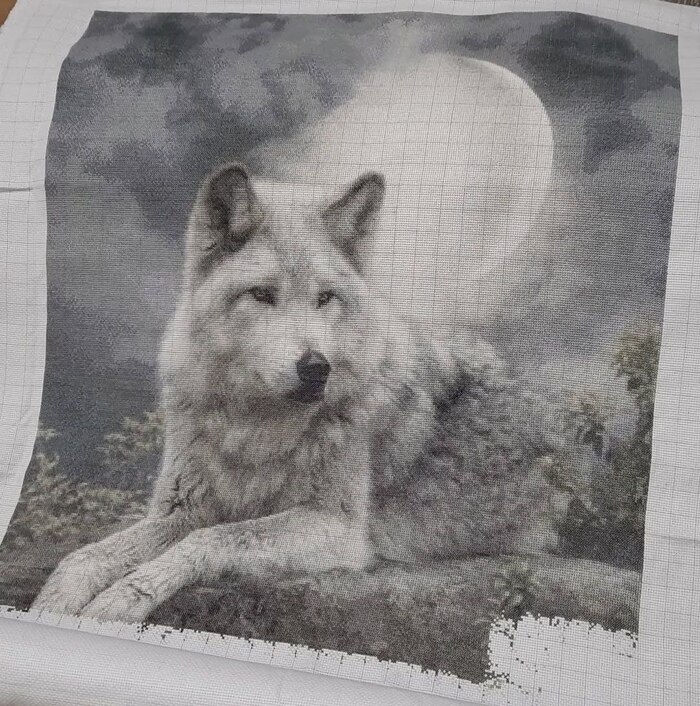 Волк ещё в процессе