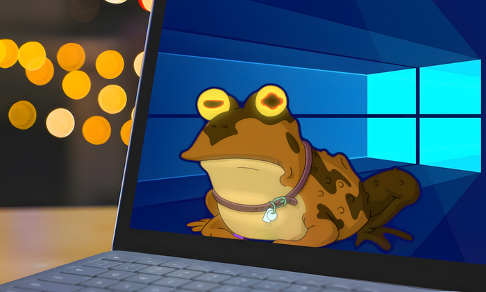 10      Windows, Linux, , , , , Microsoft, 