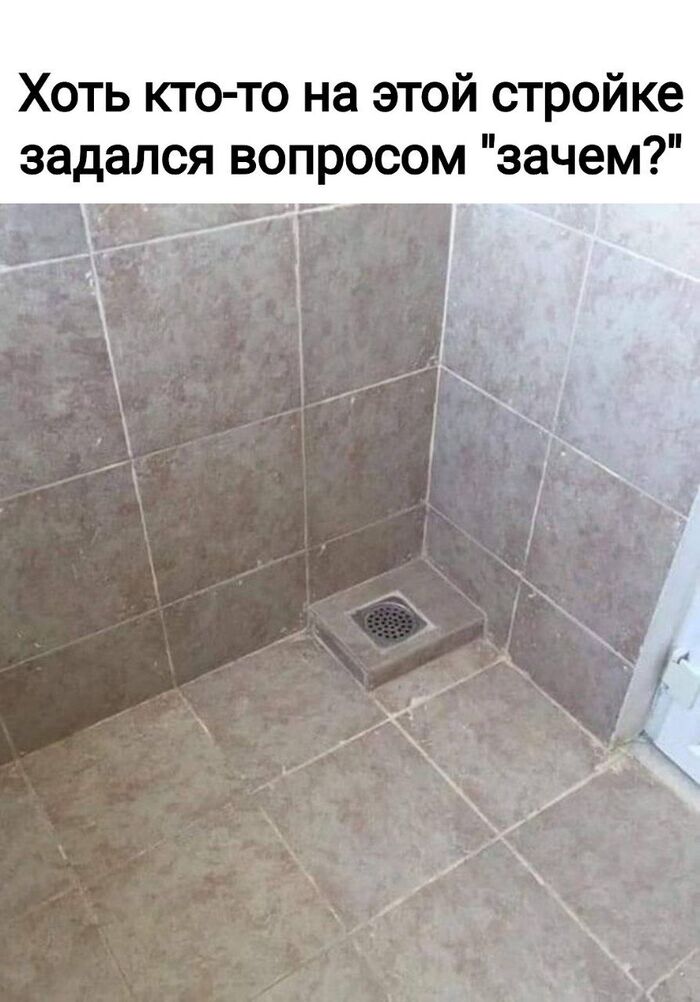 ,  -   ,   , , , , , Telegram ()