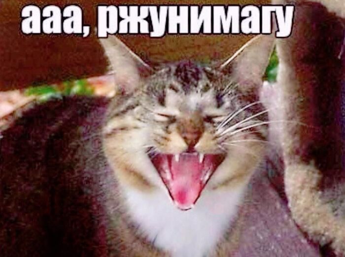    ;-) , , ,    