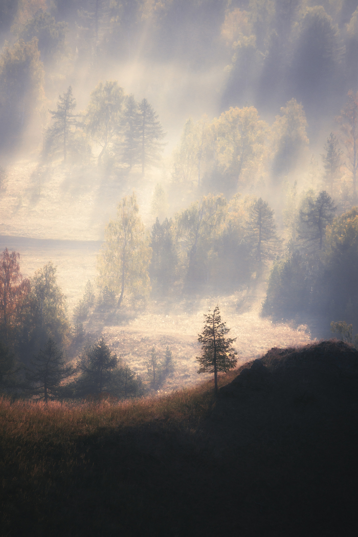          <a href="https://pikabu.ru/story/odnazhdyi_v_bashkirii_12781832?u=https%3A%2F%2Ft.me%2Faboutural&t=%D1%82%D0%B5%D0%BB%D0%B5%D0%B3%D0%B5&h=7b6d1e9533f28a646551bcc4de63fce161e49a27" title="https://t.me/aboutural" target="_blank" rel="nofollow noopener"> </a>