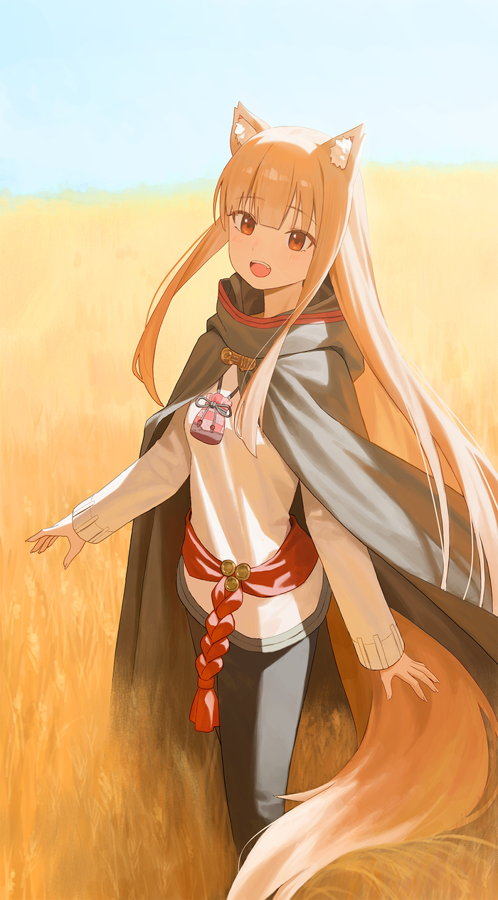 Holo Anime Art, , Spice and Wolf, Holo, Pixiv, Animal Ears