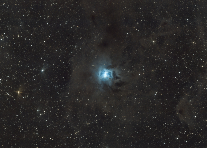 NGC 7023         .  ,   :    