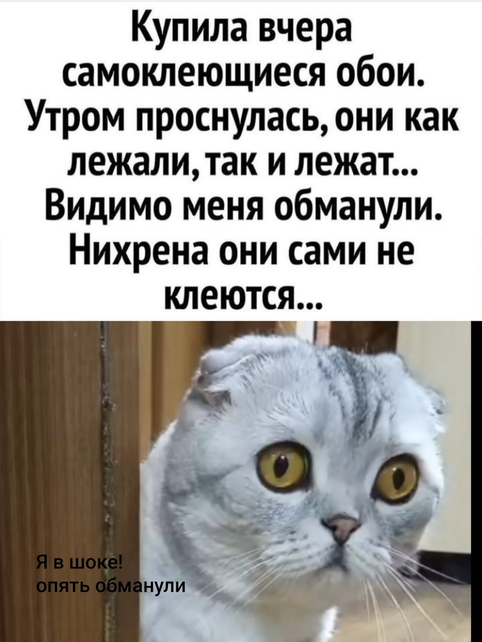   , ,   ,  ,  , 