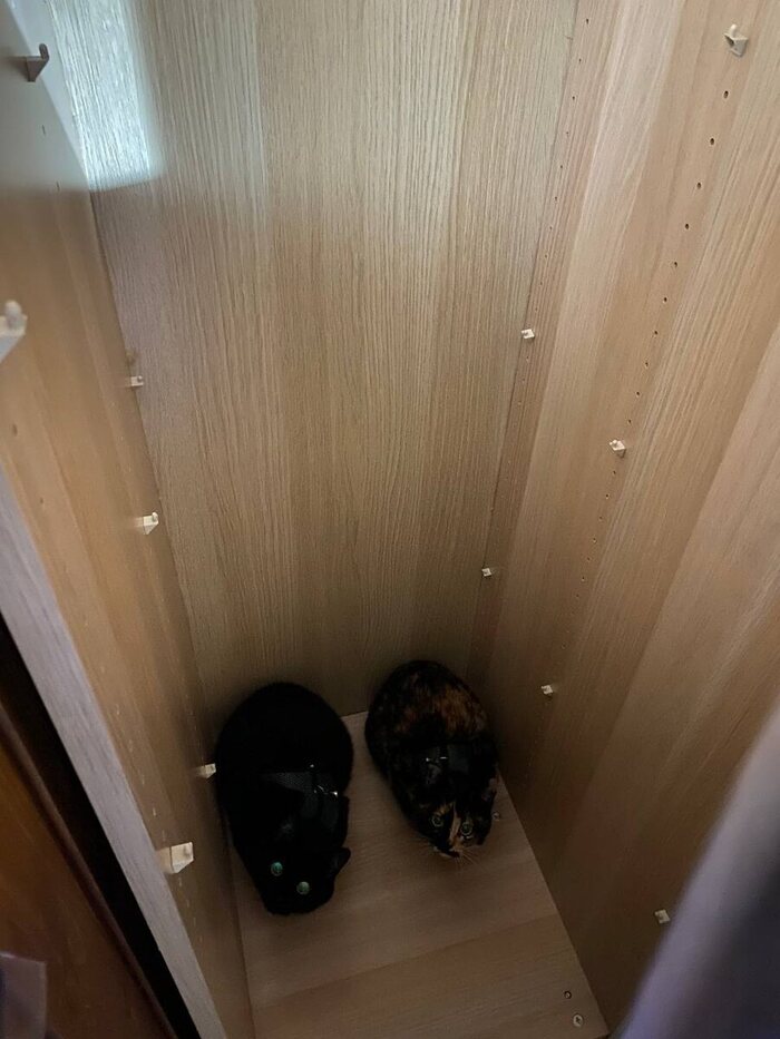 ������ ������ �� ����, ����� ���������� � ����