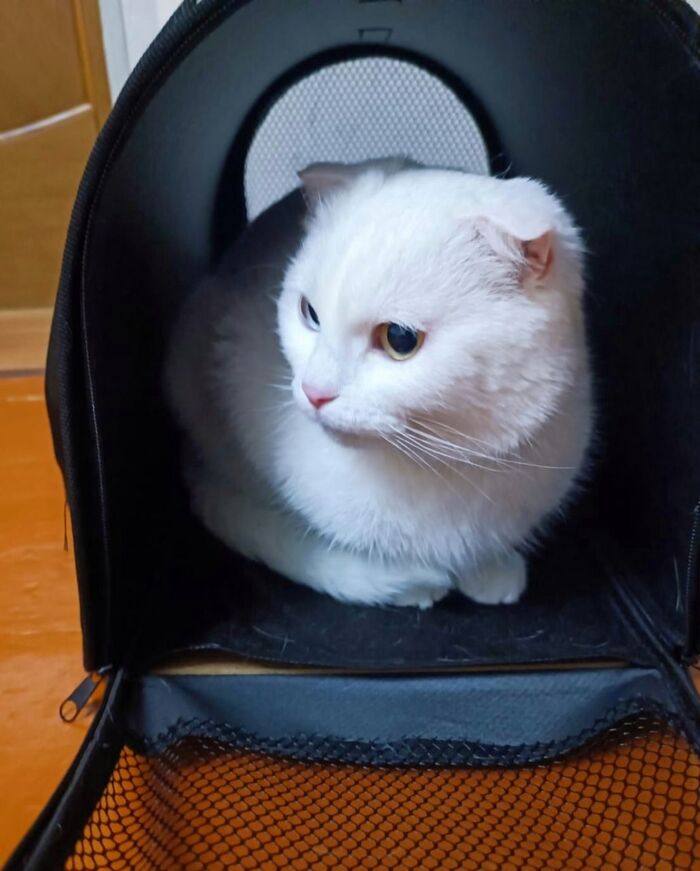   - !      , ,  ,  , ,  , ,  , ,   ,  ,  , ,  , 