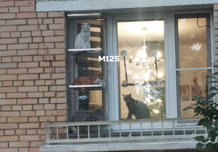 Снято на Нижегородской