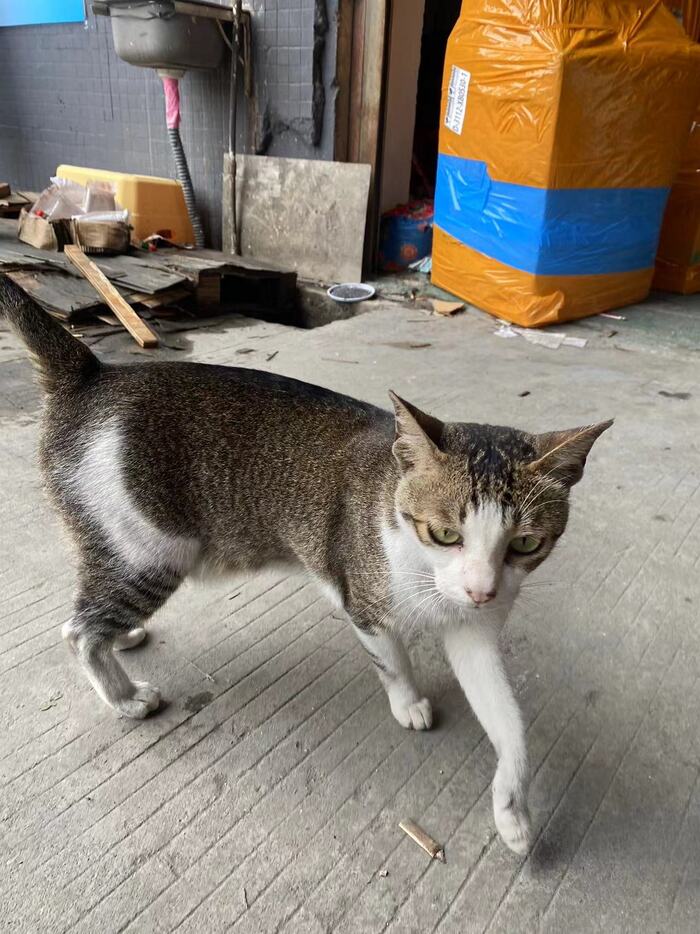 Я увидел это у дверей склада, когда шел сегодня на работу.