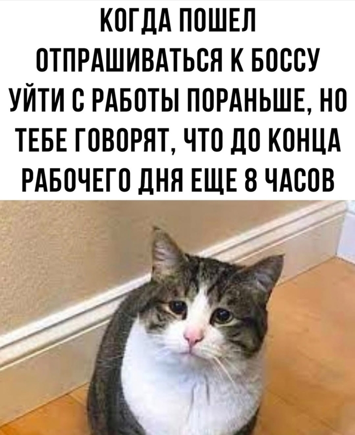    ,  , , ,   , 