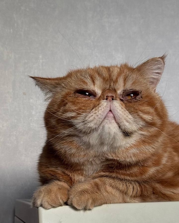   , , , 