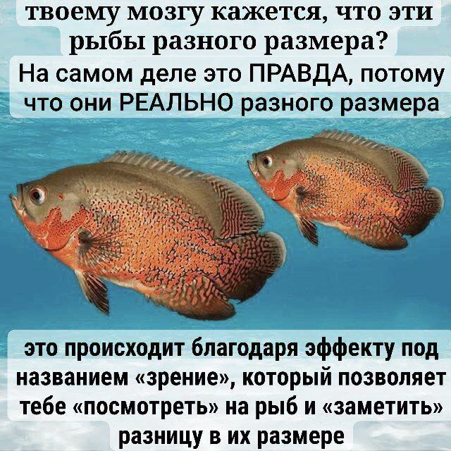     , , , , 