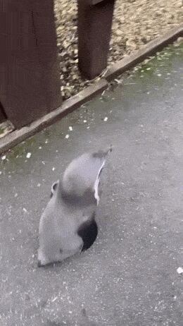    , , , 