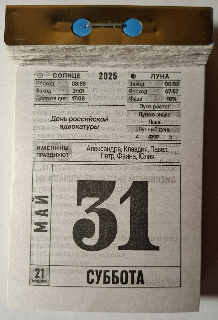 2025. 31   , 2025, , 