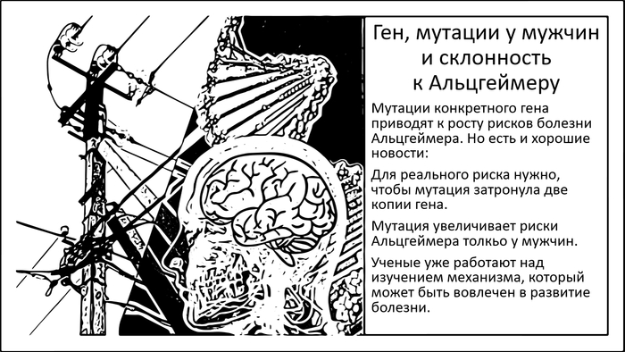 У мужчин в два раза выше риски развития Альцгеймера, если в ДНК есть два мутированных варианта этого гена