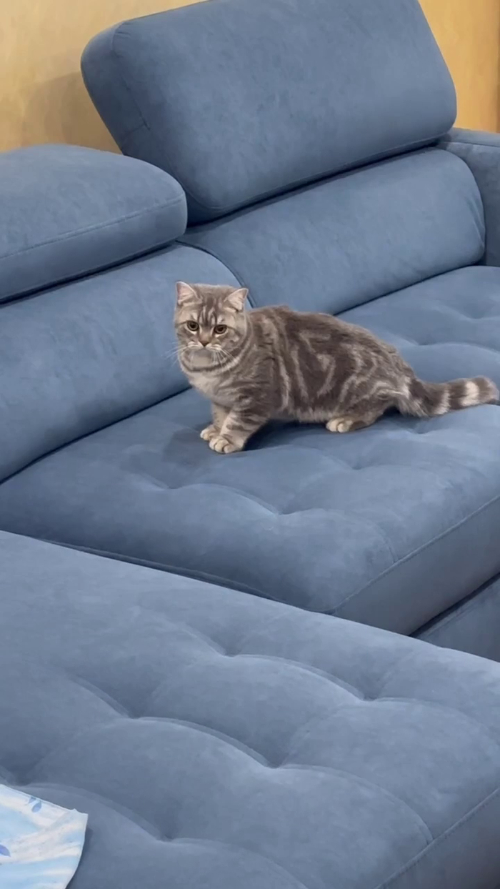 ��� ������ - � �� ����� ��� 4 ������