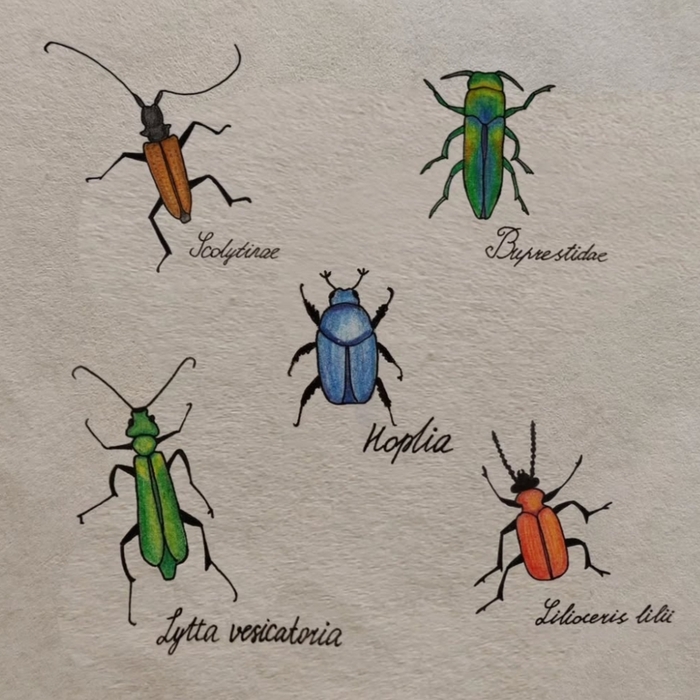 ��� ������� ������ �����. ������ ��������� �� ���!