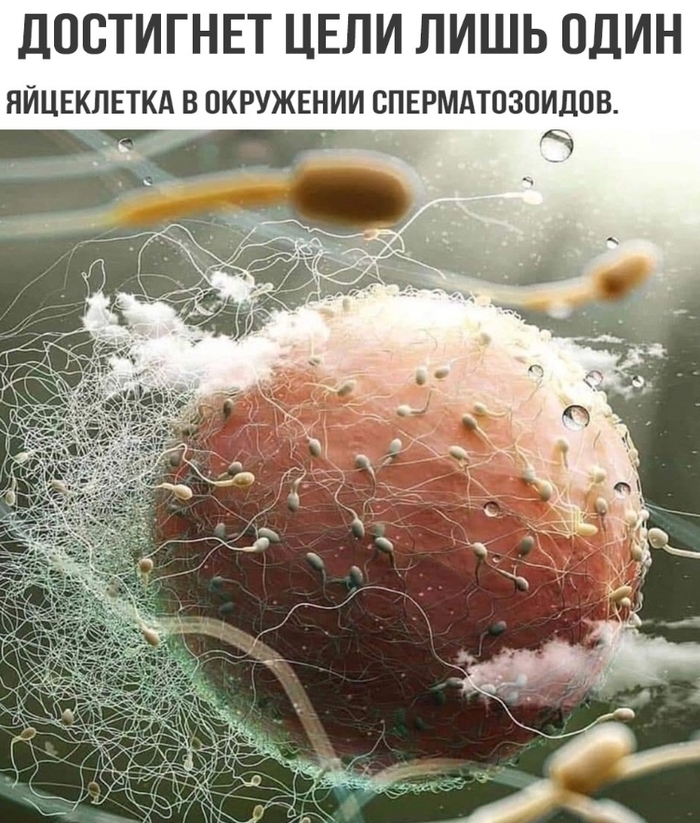   ...  , , , , ,   