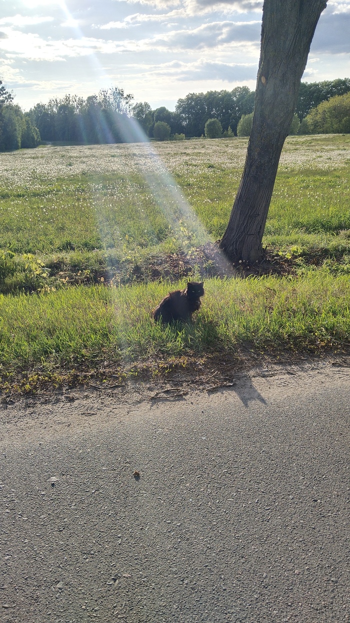 � ����� ���� ���� ��� ���� �����