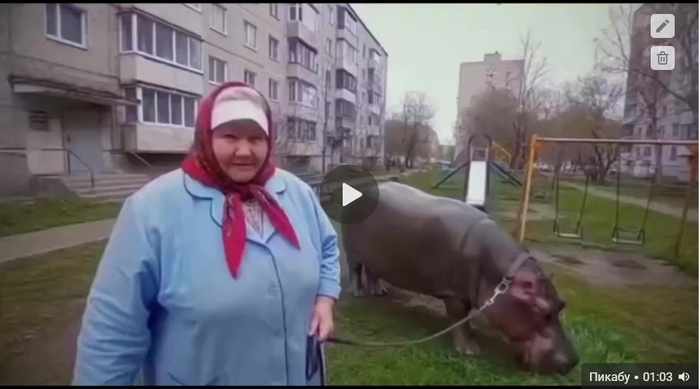       ,  , , ,  , , ,   