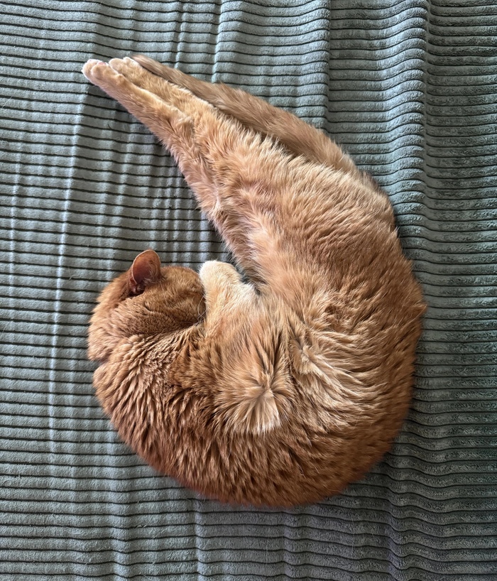   , , , , ,  , 