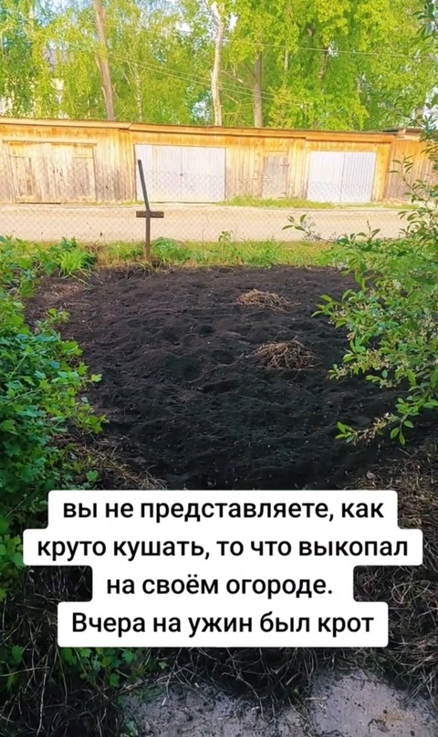 � �� �������� ���������