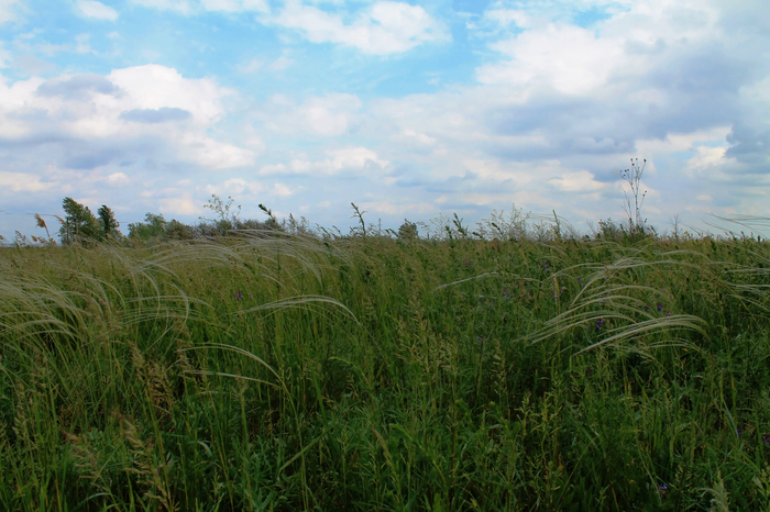 ������ � ����)