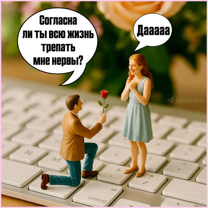         , ,  (), ,  (), Telegram (),  , , , , ,  