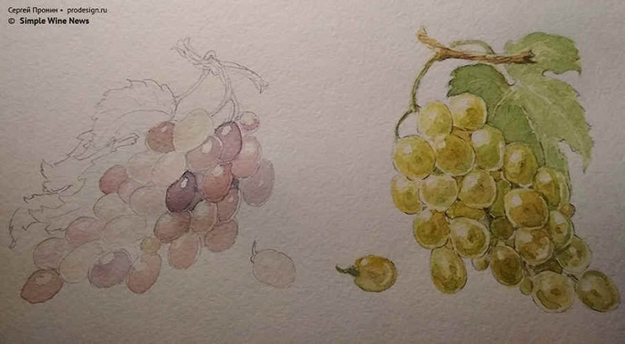 ��������, ��������